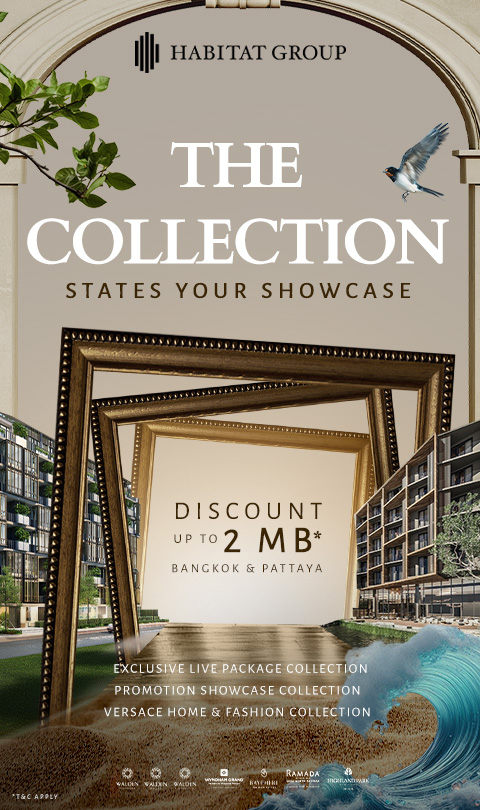 THE COLLECTION : STATES YOUR SHOWCASE